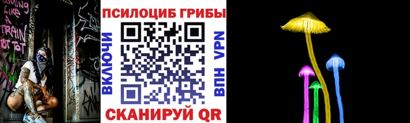 купить наркотик  Томмот  Псилоцибиновые грибы MAGIC MUSHROOMS 