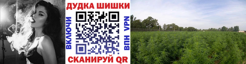 купить наркоту  ОМГ ОМГ ССЫЛКА  Шишки марихуана Bruce Banner  Томмот 